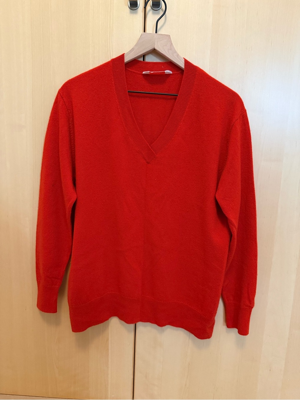 Everlane 100% Cashmere V-Neck Sweater in Poppy Red